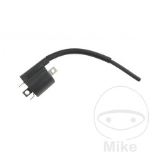 SIN MARCA High Coil (Original Spare Part) OEM