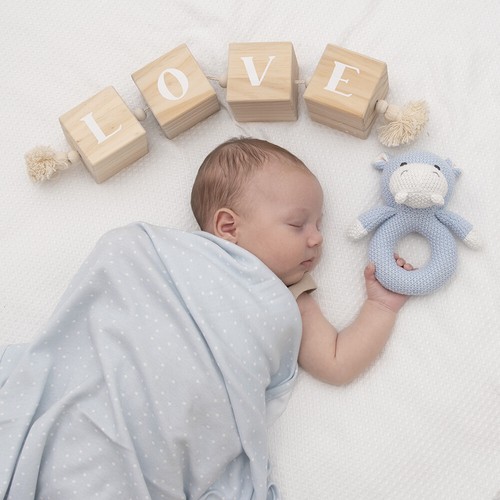 Living Textiles Blue Dots/Hippo Newborn/Infant Cotton Jersey Swaddle & Rattle - Picture 2 of 3