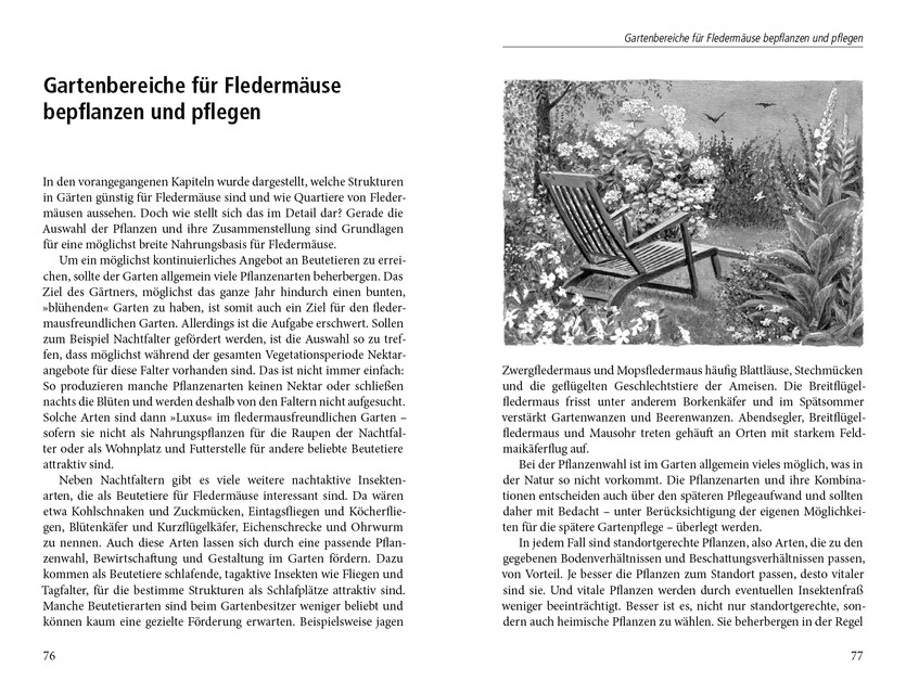 Thumbnail - Ein Garten Für Fledermäuse Dirk A. Diehl