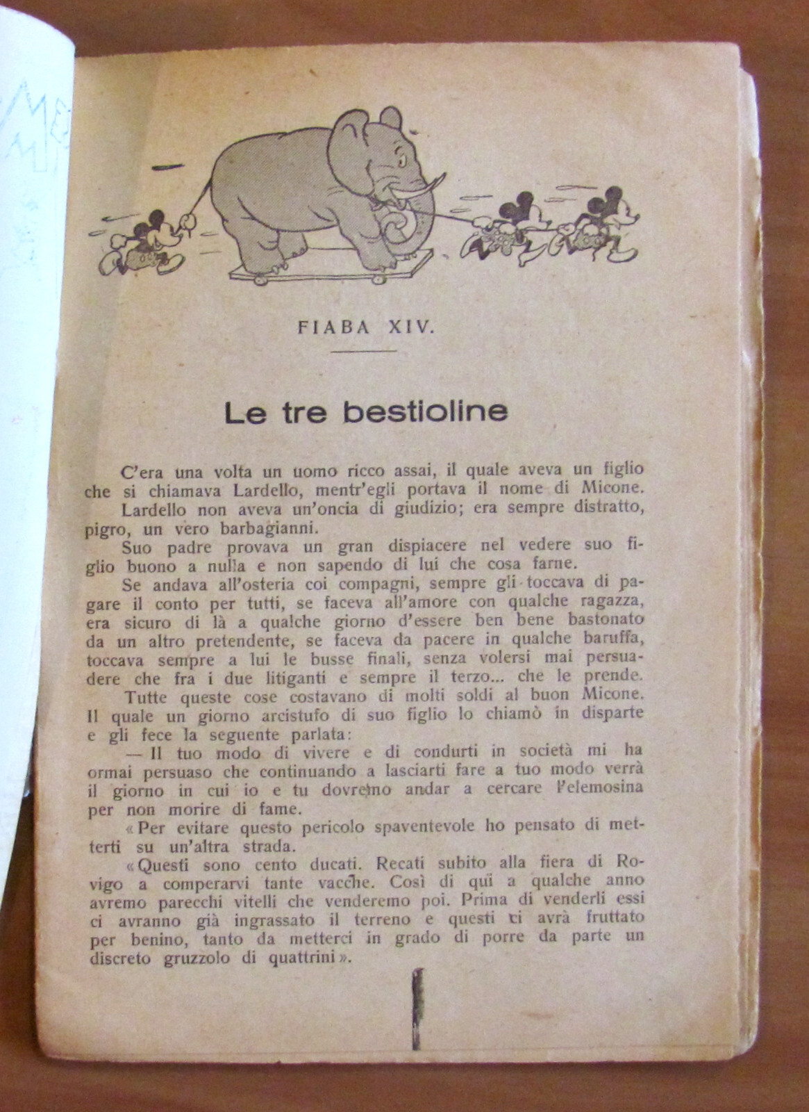 Foto 7 di 8