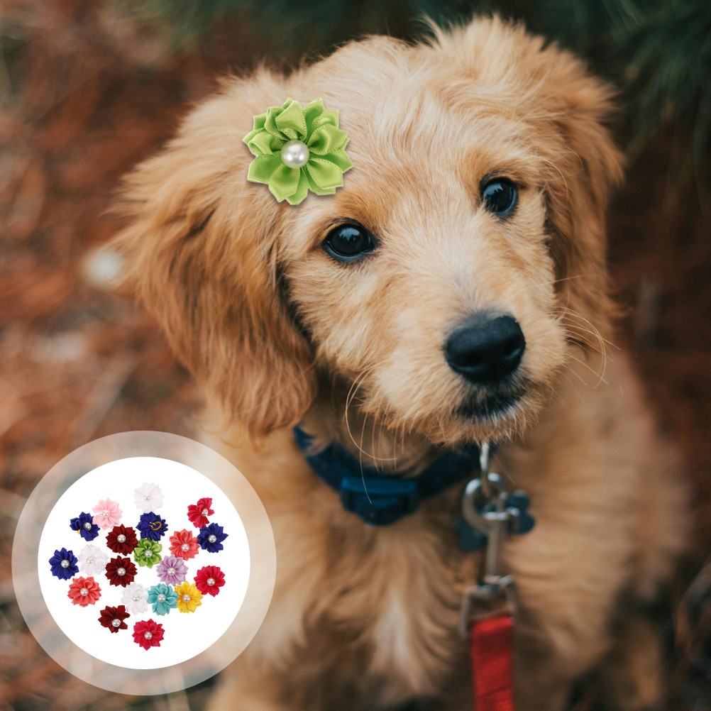 20 Pezzi Accessori per Cani Porta Peli di Animali Accessori per Peli di Cani Accessori per Capelli per Animali Domestici foto 3