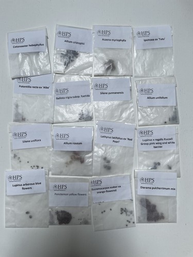Seeds Mixed Bundle