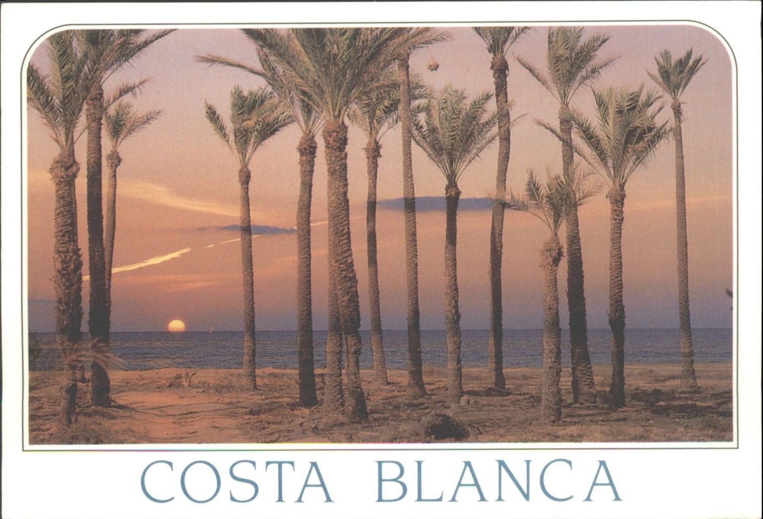 Vintage COSTA BLANCA Torrevieja Sunset Palm Trees Ocean Postcard AR38
