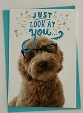 ~~ CONGRATULATIONS GREETING CARD W/DOG WEARING GLASSES~~ HAPPY/FUN/ALL AGES