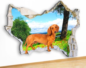 sausage dog wall art