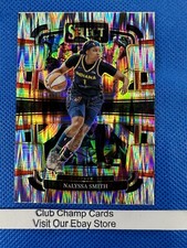 2024 #49 NaLyssa Smith Panini WNBA Select Concourse Silver Flash Prizm Fever