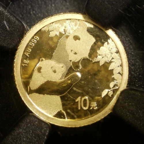 2023 CHINA 10 YUAN PANDA 1G .999 GOLD COIN ~ NGC MS70