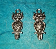 Pendant Owl Charms Lot of 2 Hoot Owl Charms Bird Charms Animals Wings Feathers