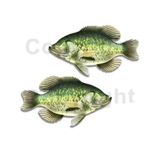 Crappie Sticker Decal Fishing Boat RV Car Truck Camper Trailer F015 2 Pack
