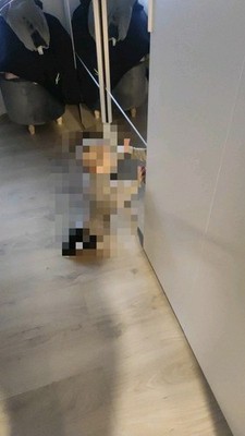 4 x Schiebetüren IKEA-Schrank PAX mit Spiegelelementen f. Selbstabholer