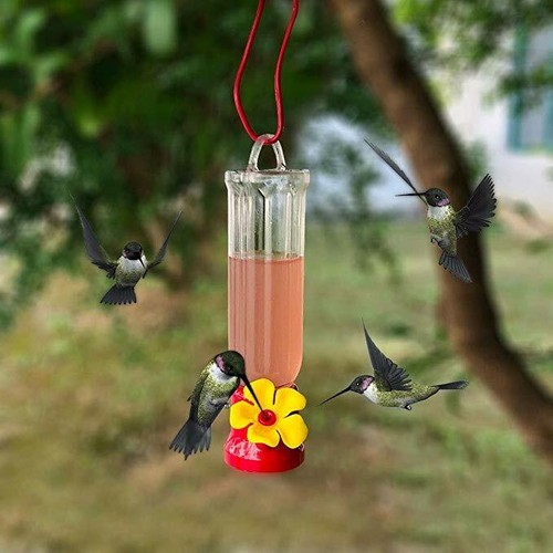 Hummingbird Feeder Flower Nectar Nature Red Plastic New 2.3 Ounce Oz Feeders - Picture 5 of 12