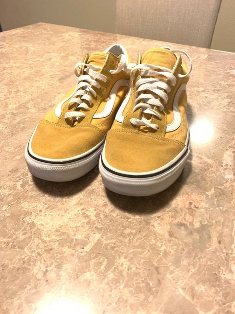 vans ward suede skate shoes