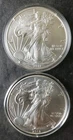 2011 and 2013 $1 American Silver Eagle Dollars in Capsules