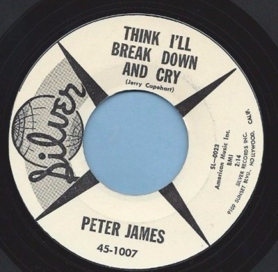 PETER JAMES  THINK I'LL BREAK DOWN AND CRY (ROCK 45) #1007 PLAYS VG++ NO NOISE!