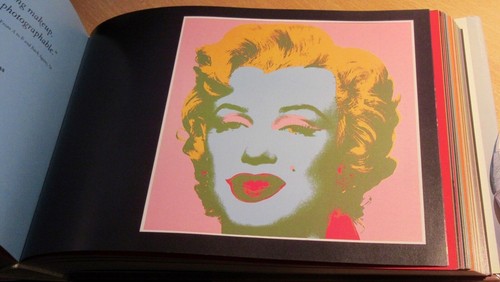 Andy Warhol 365 Takes. 365 illustrations 1st 2004 HbDj. UNread in MELB - Picture 12 of 12