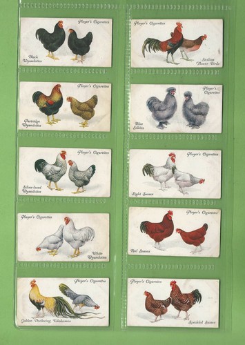 #GG1. SET(50) 1931 POULTRY JOHN PLAYER & SONS CIGARETTE CARDS - Bild 5 von 6