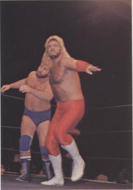 1988 Wonderama NWA - Michael Hayes #322 - 1 of 1