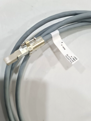 シェンリィ　TDR 忍妖シェンリィ【PR】{D-PR/647}《ドラゴンエンパイア》