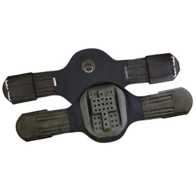 Euroriding Eric leTixerant Privilege Sattelgurt Kurzgurt Druckverteilung %%%