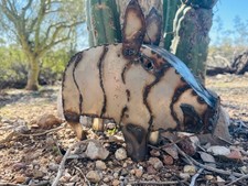 Handcrafted Rustic 10-12” Tall Metal Javalina Yard Art