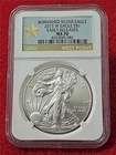 2015-W  Silver Eagle Dollar ASE NGC MS 70 EARLY RELEASES BURNISHED        #T2032