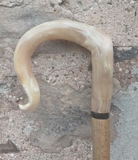 Full length shepherds crook/market stick in a rams horn FREE POSTAGE