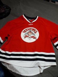 Download Mens Goalie Hockey Beer League Jersey Used Ice Hawks ...