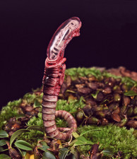 1/6 Scale Fire Girl Alien Predator Chestburster Model PVC Pose-able Toys