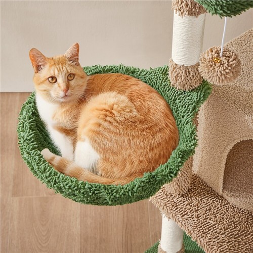 Árbol Rascador para Gatos Cactus 42,5x42,5x106,5cm Estable de Varios Niveles - Imagen 35 de 48