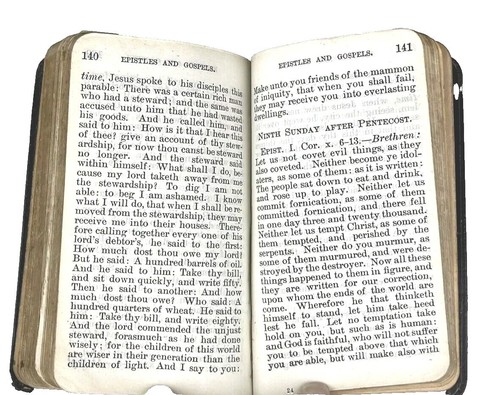 The Catholic's Pocket Prayer Book Edition with Epistles and Gospels - 1896 - Imagen 3 de 11