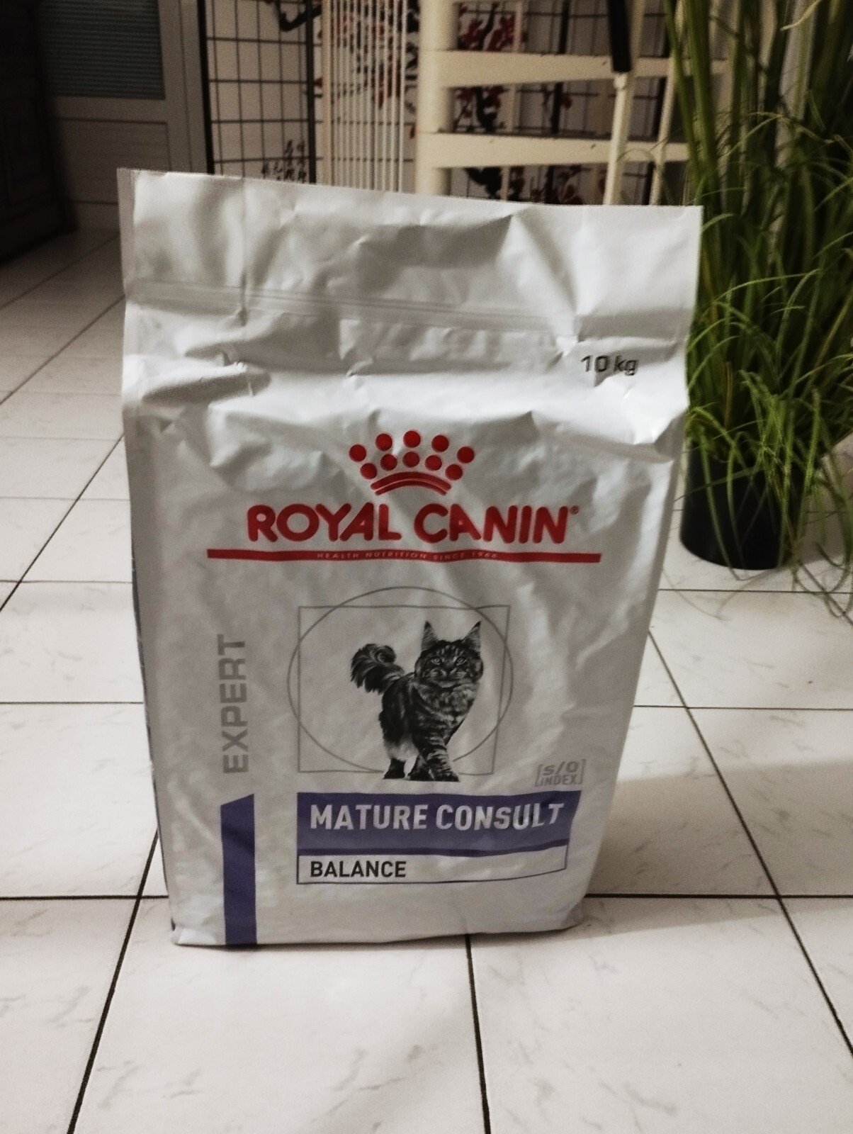 Croquettes Royal Canin pour chats avec contrôle des boules de poil