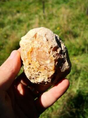 New Zealand Kauri Gum Young Amber Copal 93 gram piece