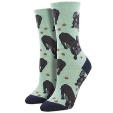 Socksmith Women's Crew Socks Frenchie Fellowship Puppy Dogs Mint Footwear