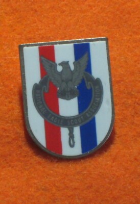 Boy Scout National Eagle Scout Association Membership Pin NESA