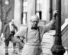 WILL LEE AS "MR. HOOPER" IN CHILDREN'S SHOW "SESAME STREET"  8X10 PHOTO (DD-621)