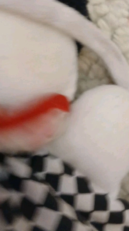 Kids II Vintage 1995 Musical Pullstring Pal Bear Clown Red White Black - Image 3 of 4