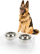 DBL2001A Keaton 7.5" Medium/Large Modern Lucite Rectangular Elevated Pet Feeder