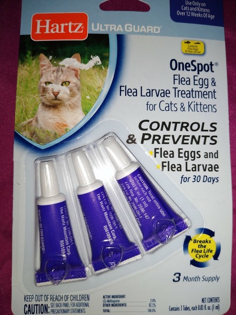 hartz ultraguard one spot for cats