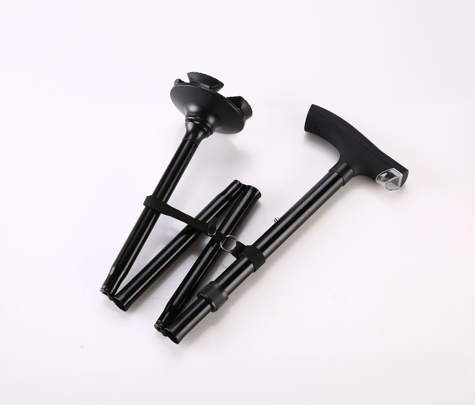 PawHut Passeggino Per Cani Piccoli Pieghevole, Passeggino Leggero Per - Foto 11