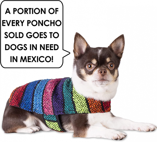 Handmade Dog Poncho from Authentic Mexican Blanket - Clothes – XX-Small - Picture 4 of 7