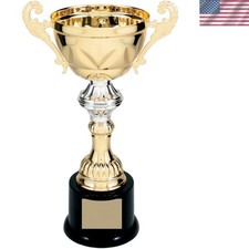Cup Trophy, Gold and Silver Metal Corporate Cup Award - 10 Inch Tall - Engr...