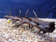 XX-Large Driftwood 08"x43"x11" Aquarium Terrarium Reptile Natural Art