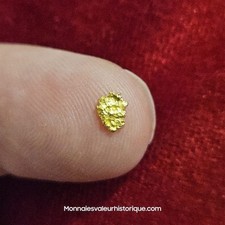 Pépite d’or naturelle – Kalgoorlie Australie 610