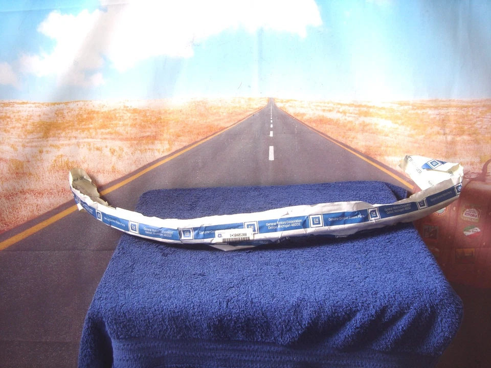 Puerta lateral WEATHERSTRIP 10383149 para relé Uplander Terraza Montana Trans Spo M1 Foto 2 de 4