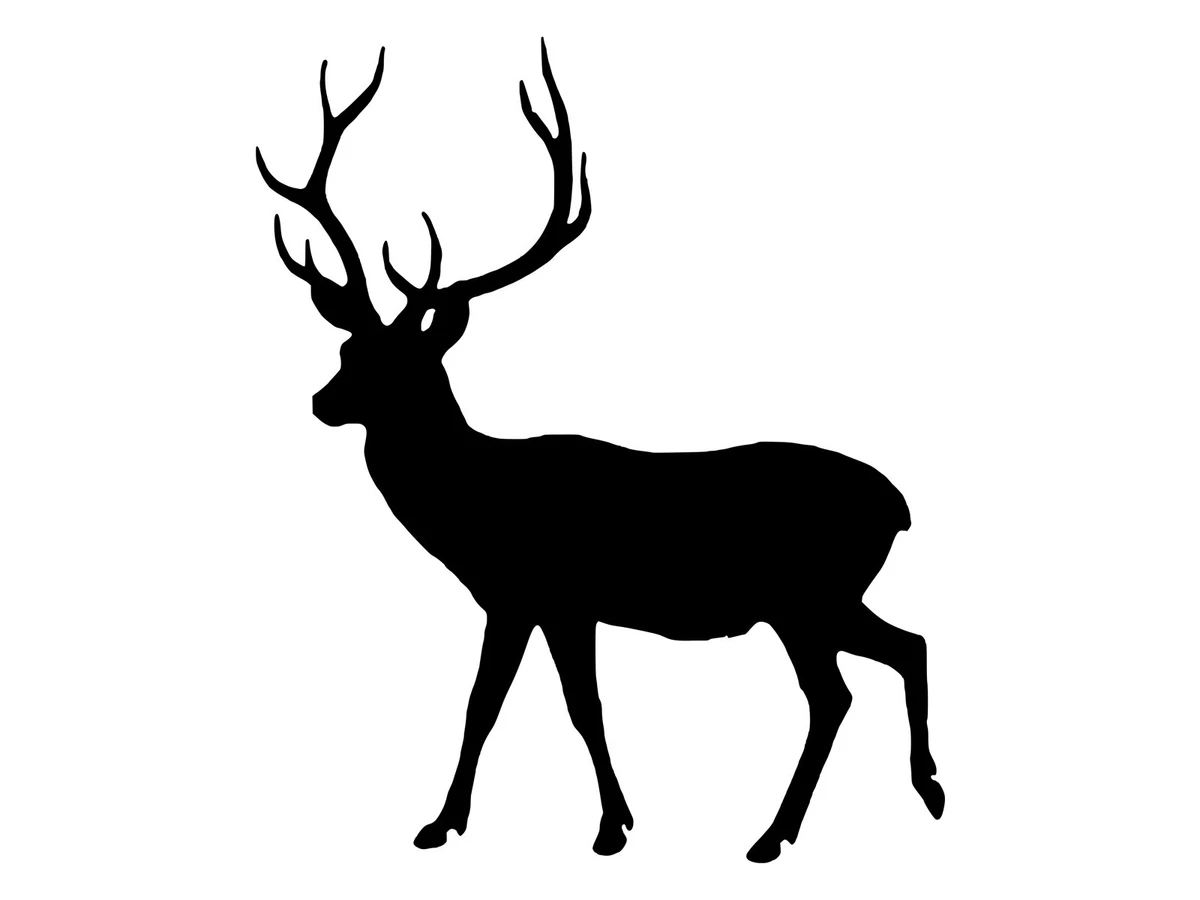 Whitetail Buck Silhouette