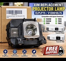 Replacement Projector Lamp