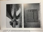 Picture 4 of 11