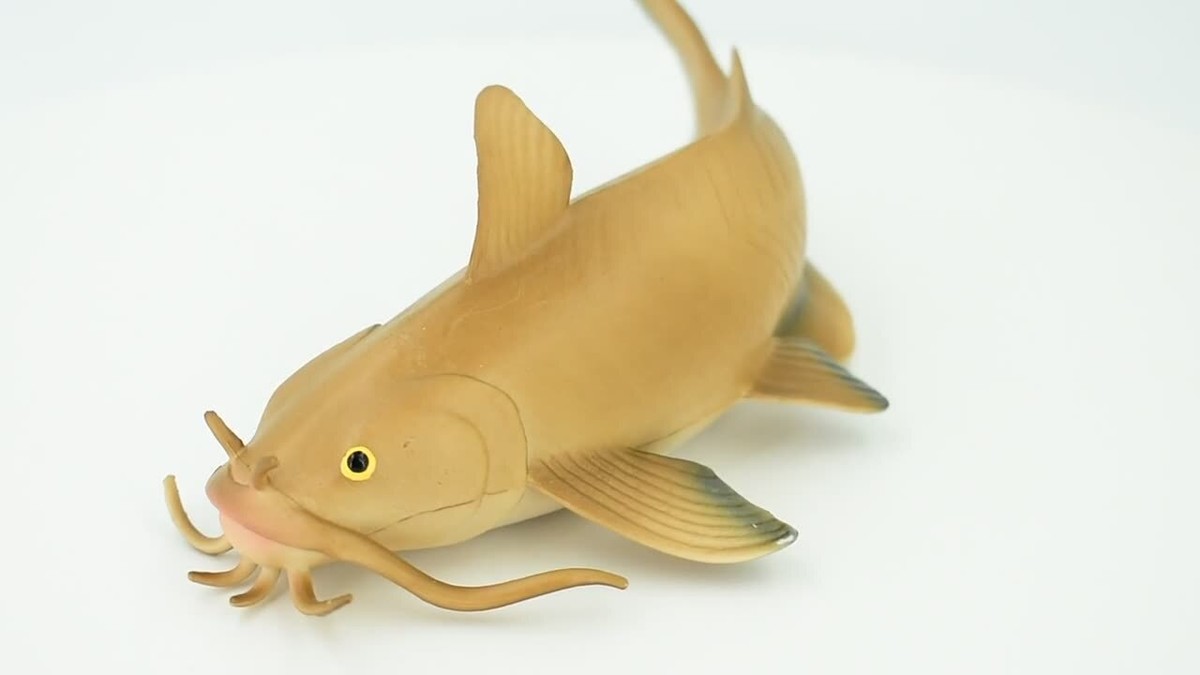 Catfish, Rubber Fish, Realistic Toy Figure, Model, Replica, 7