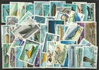 AIRCRAFT Collection Packet of 50 Different WORLD Stamps