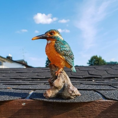 Gartenfigur Eisvogel 37.189 Garten Haus Frostsicher Deko Figur Kingfisher Garden